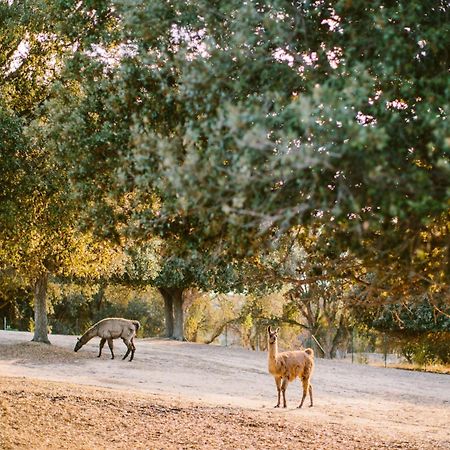 Domaine Naturiste De Riva Bella Linguizzetta Bagian luar foto